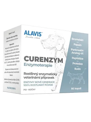 Alavis Curenzym Enzymtherapie 80 Kapseln
