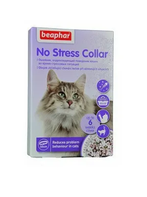 Beaphar No Stress Halsband Katze 35 cm