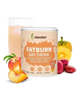 Blendea Fatburn Day Drink Pfirsich 100 g
