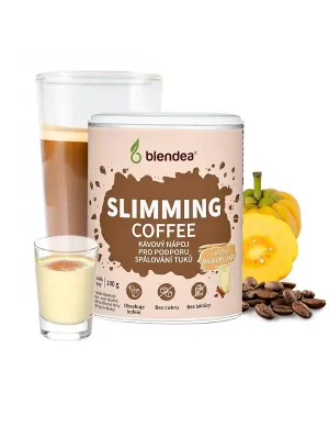 Blendea Schlankheitskaffee Eierlikör 100 g