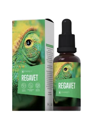 ENERGY Regavet Kräuterkonzentrat 30 ml