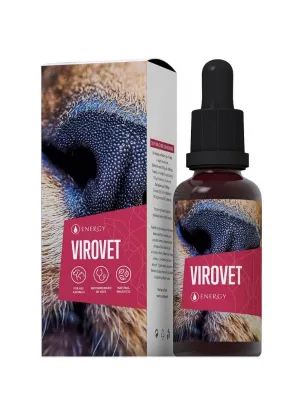 ENERGY Virovet Kräuterkonzentrat 30 ml