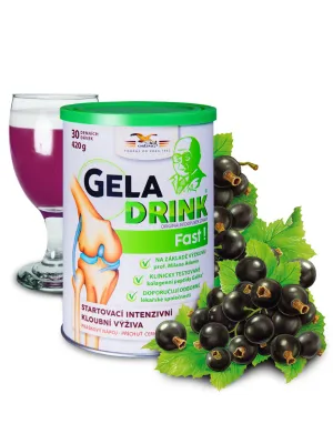 Geladrink Fast Pulvergetränk Schwarze Johannisbeere 420 g