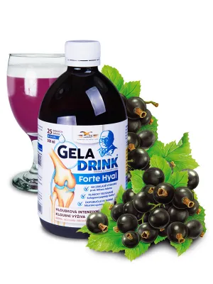 Geladrink Forte Hyal Biosol Schwarze Johannisbeere 500 ml