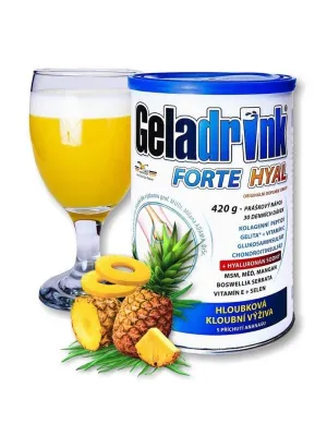 Geladrink Forte Hyal Pulvergetränk Ananas 420 g