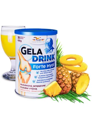 Geladrink Forte Hyal Pulvergetränk Ananas 420 g