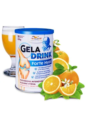 Geladrink Forte Hyal Pulvergetränk Orange 420 g