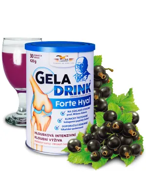 Geladrink Forte Hyal Pulvergetränk Schwarze Johannisbeere 420 g