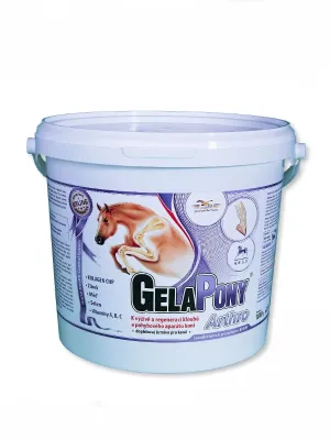 Gelapony Arthro für Pferde 1.800 g