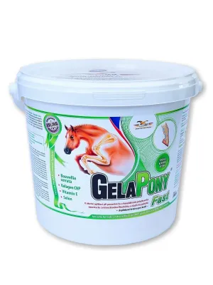 Gelapony Fast für Pferde 1.800 g