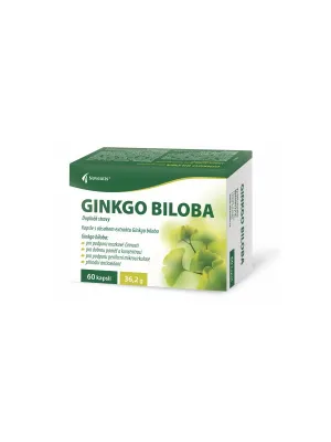 Ginkgo Biloba 40 mg 60 Kapseln