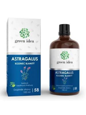 Green idea Astragalus (Mongolischer Tragant) alkoholfreie Tinktur 100 ml