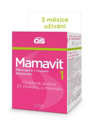 GS Mamavit 1 Planung und 1. Trimester 90 Tabletten
