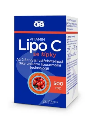 GS Vitamin Lipo C 500 mg mit Hagebutten 90+10 Kapseln