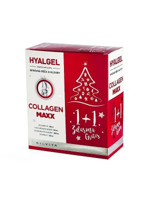 Hyalgel Collagen MAXX Weihnachtspackung 2022 2 x 500 ml