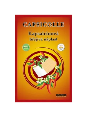 Capsaicin-Wärmepflaster 7 x 10 cm 1 Stück