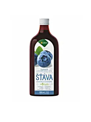 LEROS Bio Blaubeersaft + 5 Kräuter 500 ml