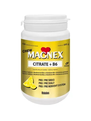 Magnex 375 mg + Vitamin B6 100 Tabletten Citrat
