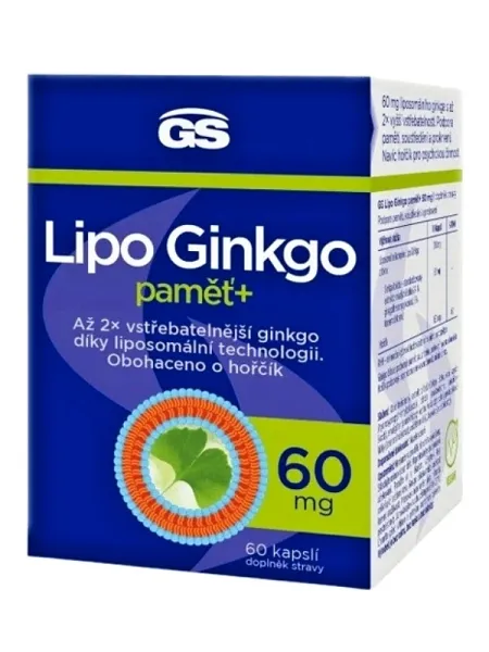 GS Lipo Ginkgo Gedächtnis+ 60 mg 60 Kapseln