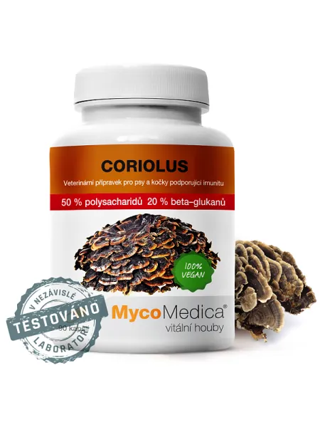 MycoMedica Coriolus 50 % 90 Kapseln