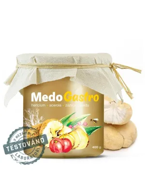 MycoMedica Medogastro 400 g