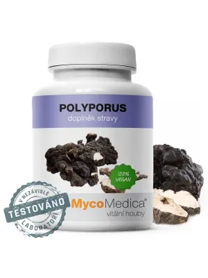 MycoMedica Polyporus 30% 90 vegane Kapseln