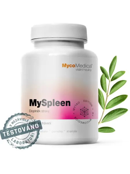 MyTao MySpleen 90 Kapseln