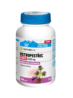 NATUREVIA MARIENDISTEL FORTE 6250 MG 120 KAPSELN