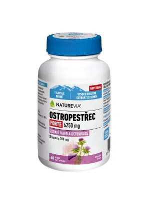 NATUREVIA MARIENDISTEL FORTE 6250 MG 60 KAPSELN