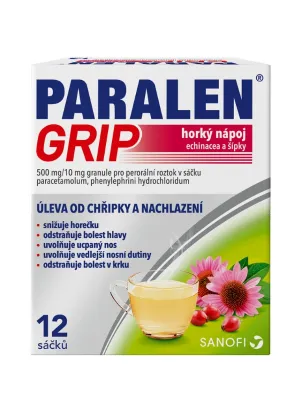 Paralen Grip Heissgetränk Echinacea und Hagebutten 12 Beutel