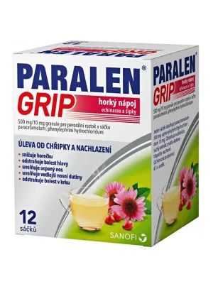 Paralen Grip Heissgetränk Echinacea und Hagebutten 12 Beutel