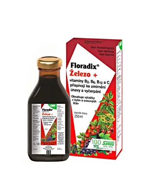 Salus Floradix Eisen+ 250 ml