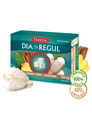 TEREZIA Diaregul 60 Kapseln