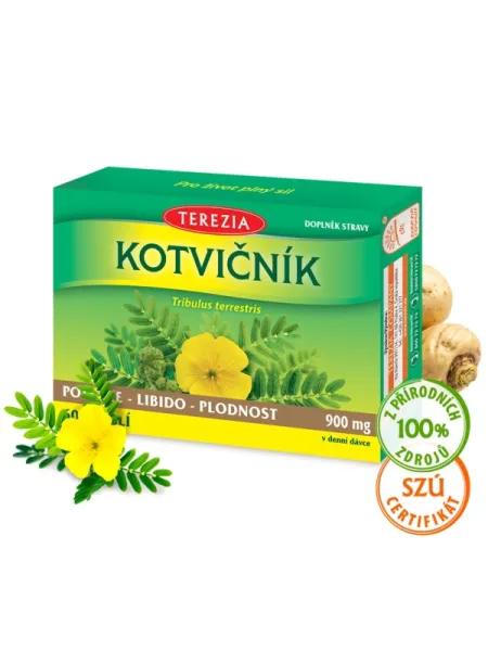 TEREZIA Erd-Burzeldorn 60 Kapseln