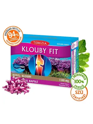 Terezia Klouby FIT (Fit Gelenke) 60 Kapseln