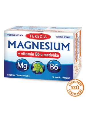 TEREZIA Magnesium+B6+Zitronenmelisse 30 Kapseln
