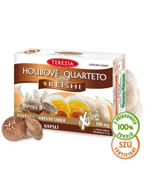 TEREZIA Pilz Quarteto mit Reishi 60 Kapseln