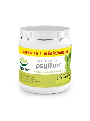 TOPNATUR Psyllium 250 Kapseln