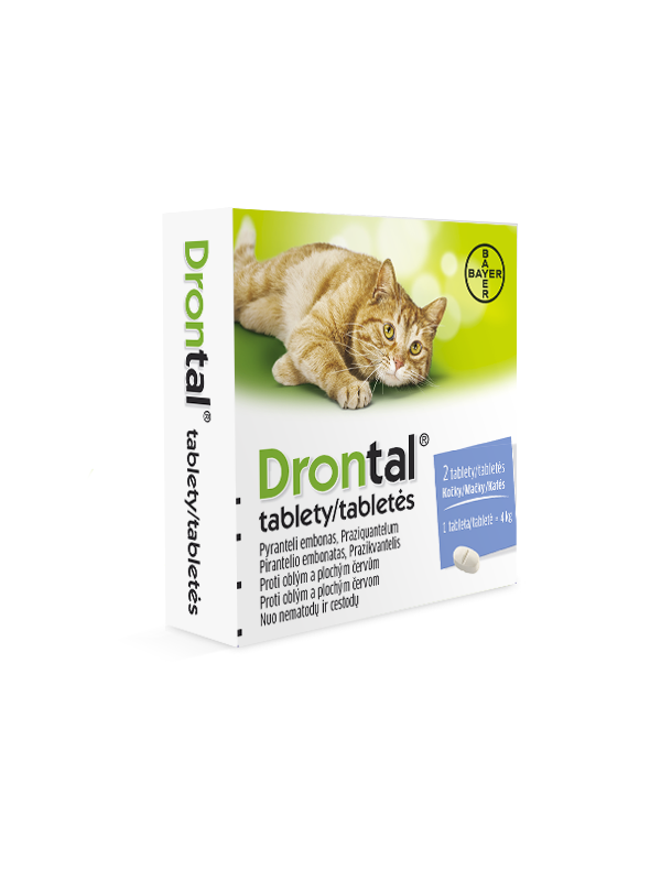 Drontal Dosierung Katze