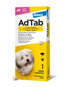 Eine kleine, aromatisierte Kauta...