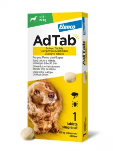 Eine kleine, aromatisierte Kauta...