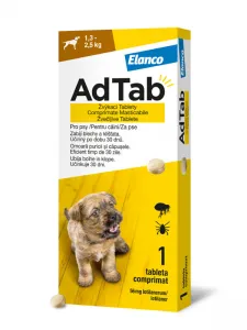 Eine kleine, aromatisierte Kauta...