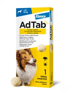 Eine kleine, aromatisierte Kauta...