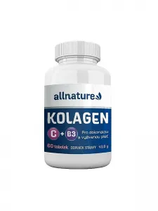 Collagen ist für die Elastizität...