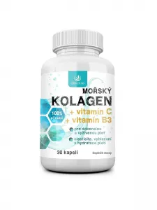 Collagen macht einen großen Teil...