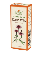 Echinacea unterstützt die natürl...