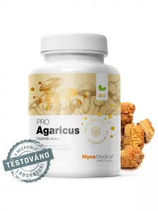 Agaricus (Mandelpilz) unterstütz...