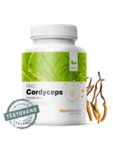 Cordyceps (Chinesischer Raupenpi...