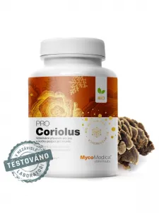 Coriolus (Schmetterlings-Tramete...