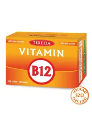 TEREZIA Vitamin B12 100 Tabletten
